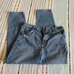 American Eagle curvy mom jeans size 12